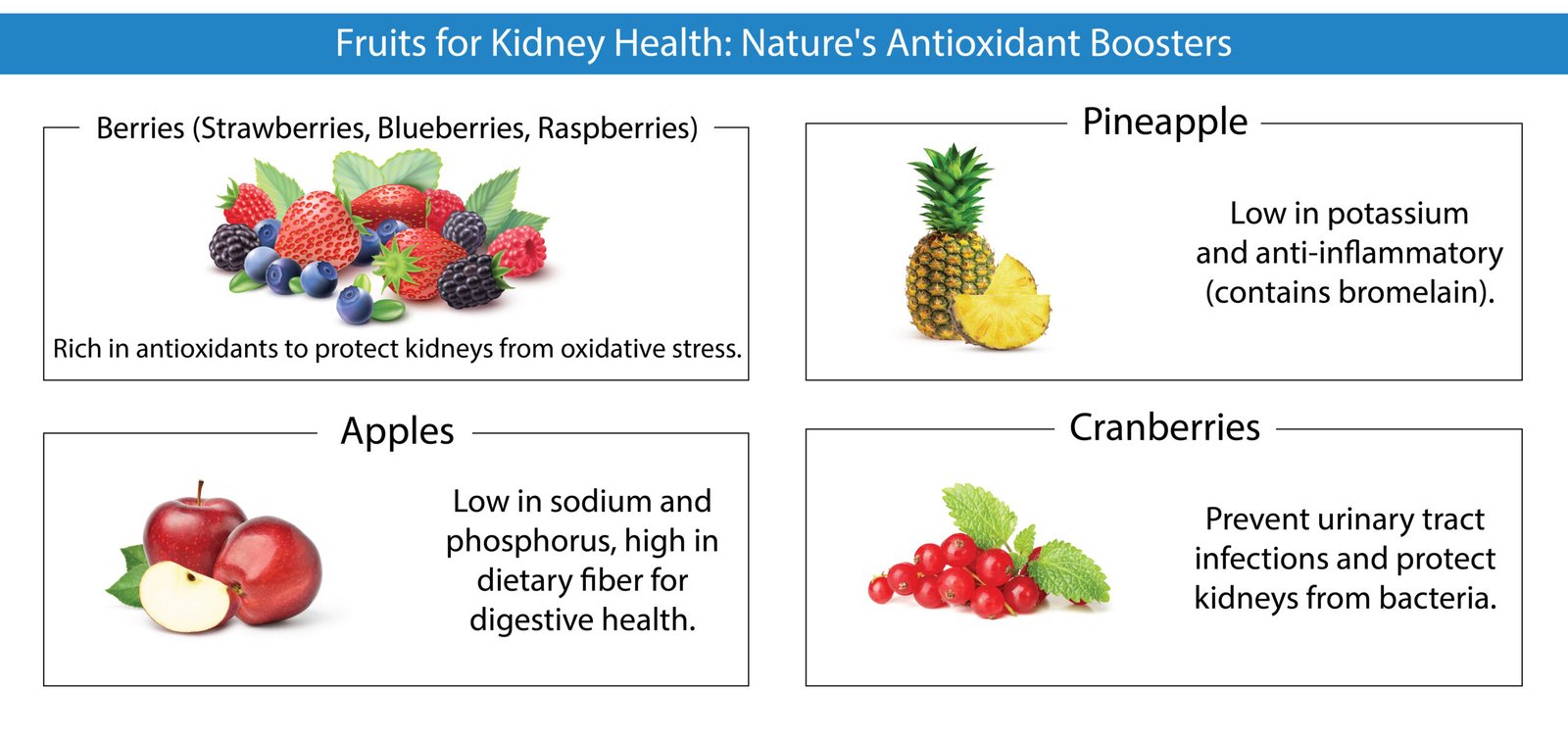 Top Fruits for Kidney Health