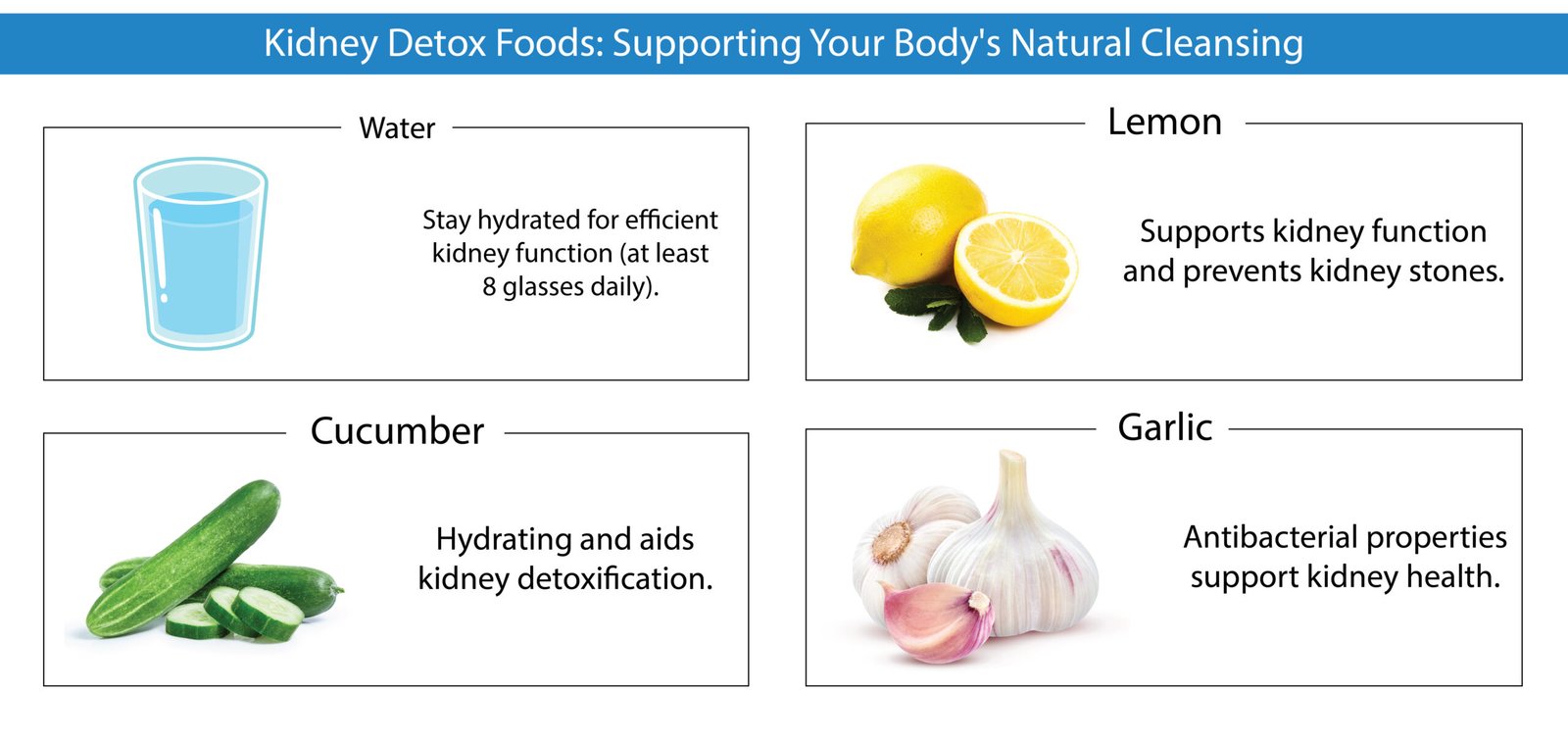 Top Kidney Detox Foods