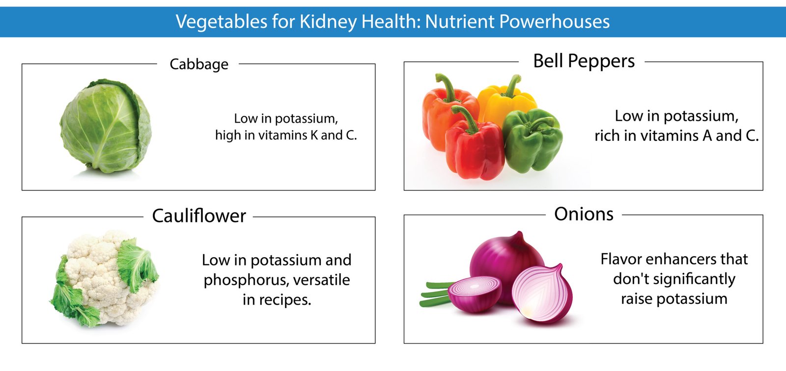 Top Vegetables for Kidney Health